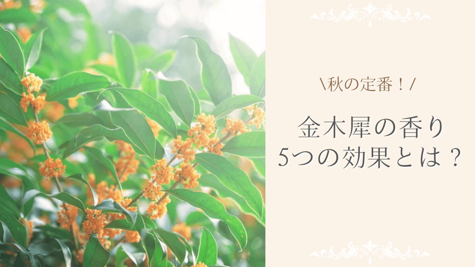 エッセンシャルオイルでシラミを治療する